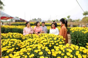 Hỗ trợ nông dân trồng hoa bán hàng