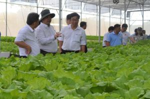 Những đóng góp hiệu quả của tổ chức hội nông dân Đồng Nai trong xây dựng nông thôn mới