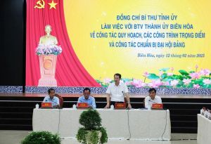 Tập trung giải quyết những vướng mắc để Biên Hòa phát triển xứng tầm đô thị loại I