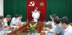 Nghiên cứu phương án tối ưu xây dựng tuyến đường trên cao dọc tuyến quốc lộ 51
