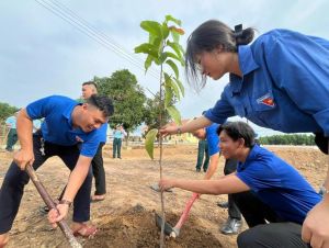 Huyện Vĩnh Cửu tổ chức phong trào “Tết trồng cây đời đời nhớ ơn Bác Hồ”