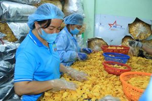 Long Khánh: Doanh nghiệp tập trung cho mùa sản xuất đầu năm