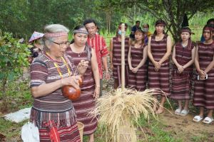 Đồng Nai vào mùa lễ hội Xuân Ất Tỵ 2025