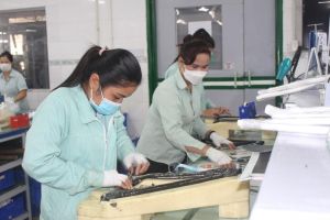 Đồng Nai: Dự báo nhu cầu tuyển dụng lao động năm 2025 trên 75 ngàn người