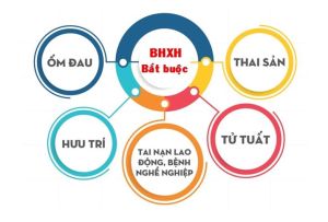 Thực hiện chỉ tiêu phát triển đối tượng tham gia BHXH bắt buộc năm 2025 trên địa bàn tỉnh Đồng Nai