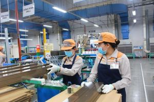 Rà soát lại địa bàn áp dụng mức lương tối thiểu để chuẩn bị phương án đề xuất tăng lương