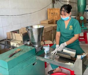 Chú trọng xây dựng chiến lược kinh doanh dựa trên tiêu chí ESG