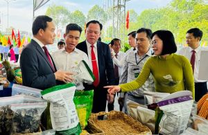 Định Quán đạt chuẩn huyện nông thôn mới nâng cao năm 2023