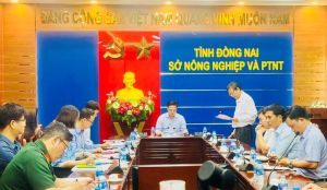 Huyện Thống Nhất chuẩn bị kỷ niệm 50 năm giải phóng Dầu Giây và nhận bằng công nhận huyện nông thôn mới nâng cao