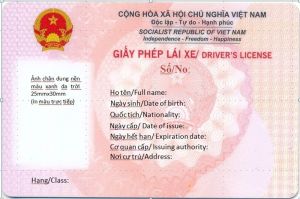 Mẫu giấy phép lái xe mới áp dụng từ 1/3/2025