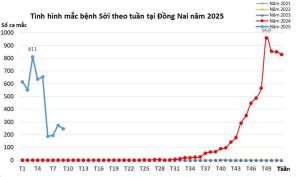 Số ca bệnh sởi, sốt xuất huyết giảm nhẹ