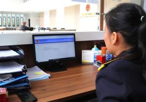 Quy định về ngưỡng tiền nợ thuế quá hạn bị tạm hoãn xuất cảnh từ Chính phủ