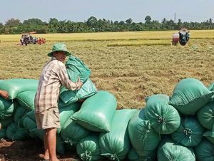 Tăng cường công tác thông tin tuyên truyền xây dựng và phát triển kinh tế tập thể theo hướng phát triển đa ngành nghề