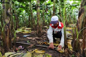 Chính phủ công nhận Thống Nhất đạt chuẩn huyện nông thôn mới nâng cao năm 2024