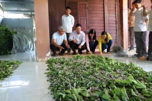 Nghề trồng dâu, nuôi tằm giúp phát triển kinh tế ở xã vùng sâu