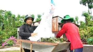 Nông dân vui mừng từ giá tiêu tăng