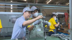 Đồng Nai có 2 công nhân là đảng viên vinh dự được tuyên dương