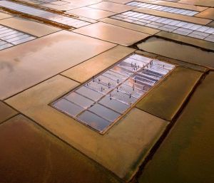 Đồng Nai đoạt 3 giải Cuộc thi ảnh Nghề muối Việt Nam - Bạc Liêu 2025