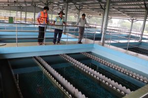 Tiếp tục đầu tư cho nước sạch nông thôn trong năm 2025