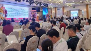 Cần quan tâm hơn nữa đến sức khỏe tâm thần người cao tuổi