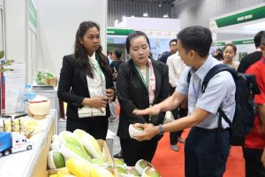 Doanh nghiệp xuất khẩu nông sản còn nhiều hạn chế