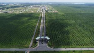 Tiếp tục điều chỉnh chỉ tiêu đất nông nghiệp