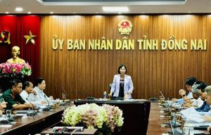 Cẩm Mỹ được xét công nhận đạt huyện nông thôn mới nâng cao năm 2024
