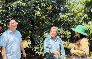 Kết nối doanh nghiệp xuất khẩu với vùng trồng sầu riêng