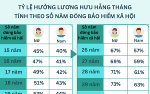 Tra cứu tỷ lệ hưởng lương hưu hằng tháng tính theo số năm đóng BHXH