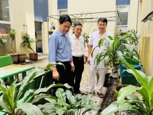 Bệnh viện Đa khoa Đồng Nai tiên phong xây dựng bệnh viện xanh, sạch, đẹp