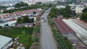 Cần tăng cường bảo vệ môi trường ở Khu công nghiệp Biên Hòa 1 giai đoạn chuyển đổi công năng