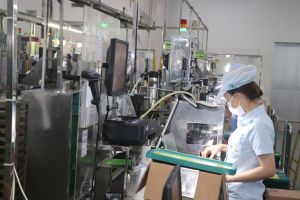 Mỗi năm FDI đóng góp cho ngân sách khoảng 1 tỷ USD