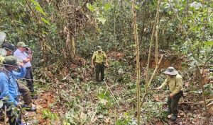 Phát hiện khảo cổ mới ở Đồng Nai