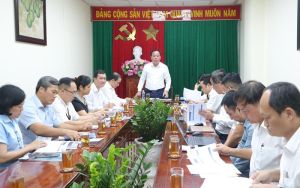 Hoàn thiện hồ sơ báo cáo nghiên cứu tiền khả thi Dự án Tuyến đường trên cao dọc quốc lộ 51