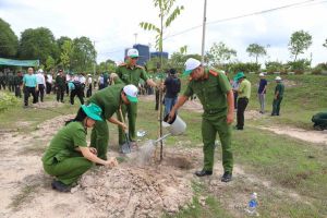 Giám sát kết quả trồng rừng, trồng cây xanh trên địa bàn tỉnh giai đoạn 2021-2025