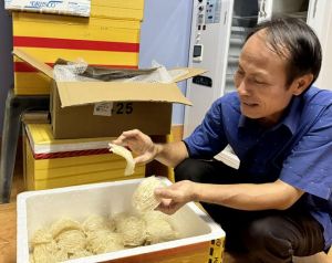 Kỳ vọng đẩy mạnh xuất khẩu tổ yến vào thị trường lớn Trung Quốc