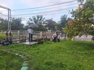 Tập trung xử lý vi phạm về môi trường