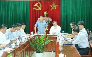 Phó Chủ tịch UBND tỉnh Dương Minh Dũng làm việc với Tập đoàn Điện lực Việt Nam