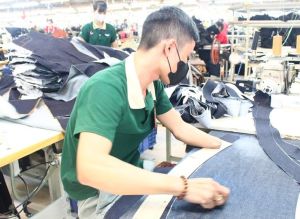 Doanh nghiệp FDI tạo việc làm cho hơn 100 lao động khuyết tật