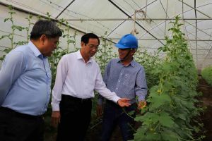 Tỉnh công nghiệp thuộc tốp đầu phát triển tam nông