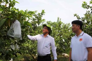 Chính phủ công nhận Vĩnh Cửu đạt chuẩn nông thôn mới nâng cao năm 2024