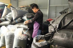 Ngành cà phê nhiều triển vọng