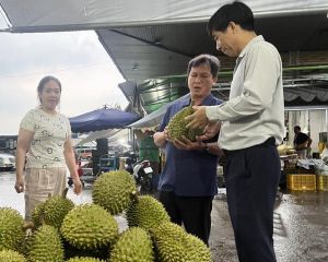 Kết nối nông sản địa phương vào chợ đầu mối