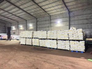 Đẩy mạnh cuộc chiến chống hàng giả