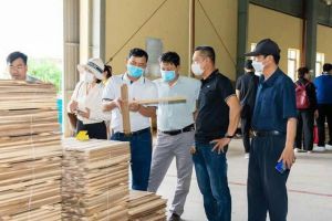 Đa dạng hóa thị trường cho sản phẩm