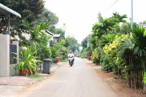 Toàn tỉnh 100 khu dân cư kiểu mẫu