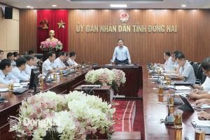 Các vấn đề liên quan đến giải ngân vốn đầu tư công của Đồng Nai phải thuộc 'luồng xanh', giải quyết chậm nhất trong 48 giờ