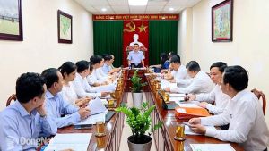 Lãnh đạo tỉnh làm việc với Câu lạc bộ Bóng đá Trường Tươi Bình Phước