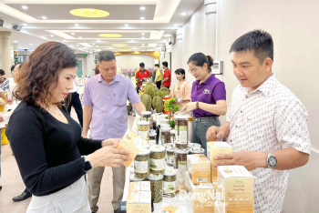 Hỗ trợ doanh nghiệp phát triển tài sản trí tuệ