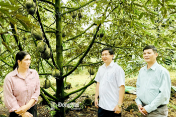 Nhiều nét mới trong xây dựng nông thôn mới giai đoạn 2026-2030